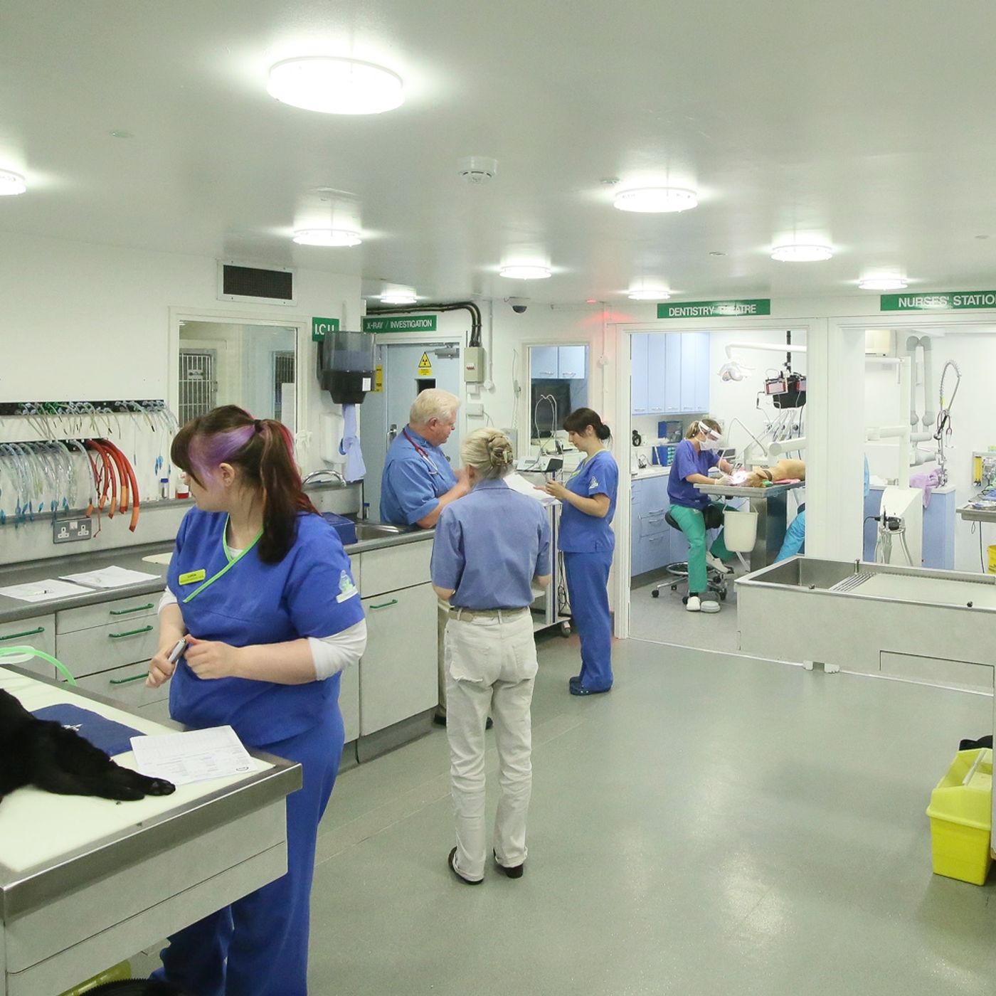 Shouldn't your vet be 24 hours? - with Vet Hospital