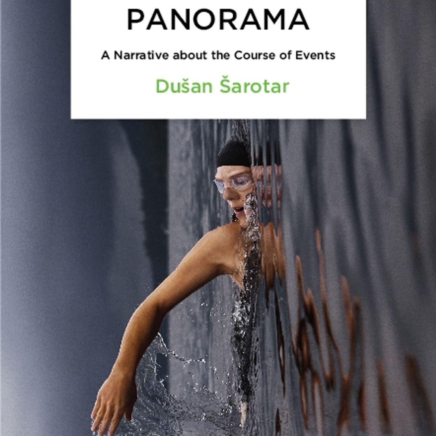 Diving Under the Surface - Talking about Dušan Šarotar's novel, Panorama episode artwork