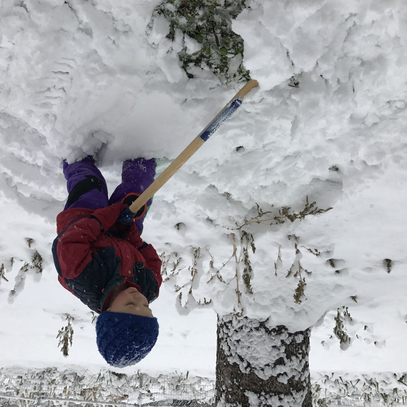 Utahns prove old hands with first seasonal storm episode artwork