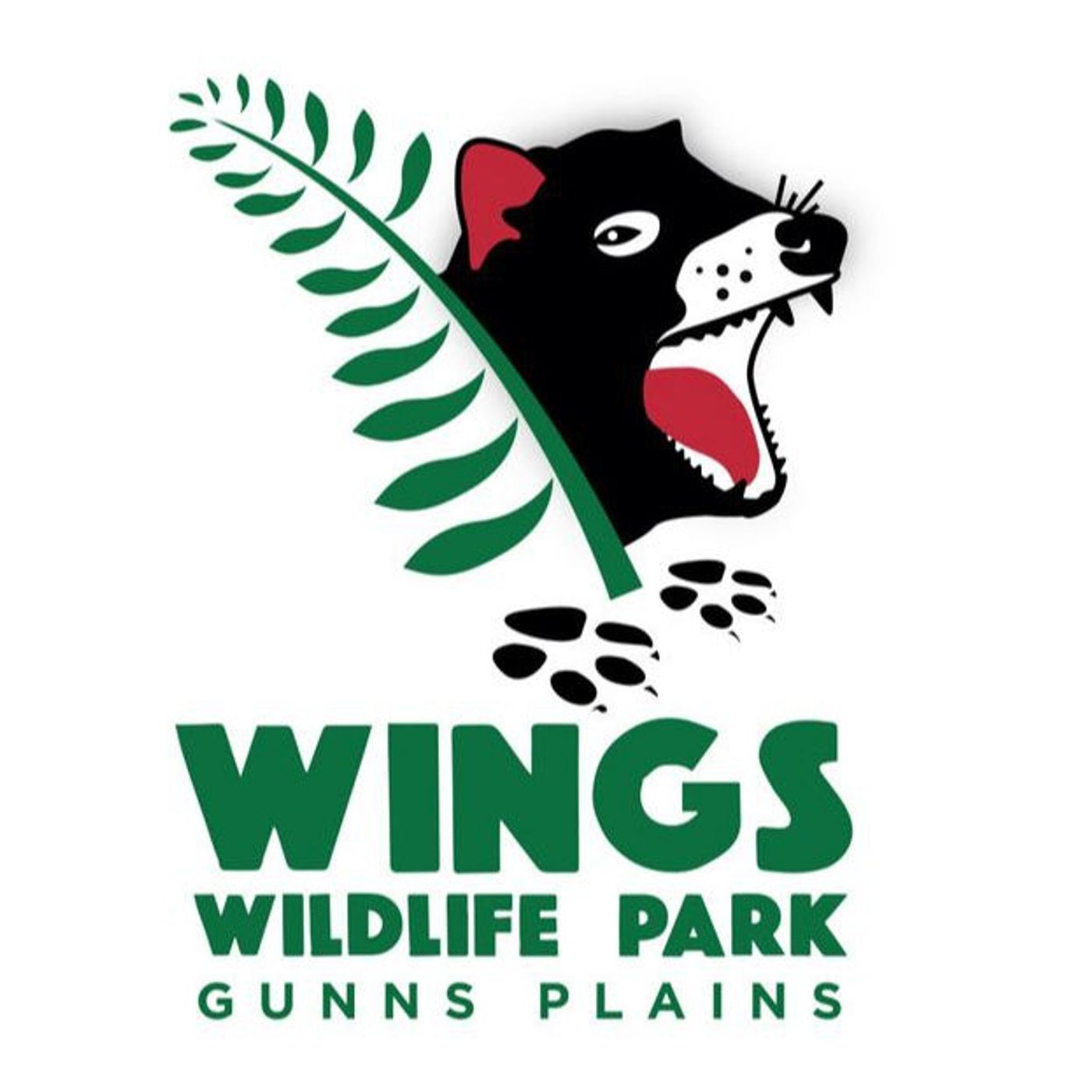 Wings Wildlife Park celebrates 30 years episode artwork
