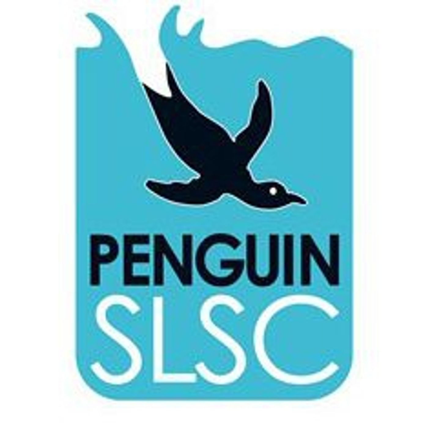 Penguin regains community function space episode artwork