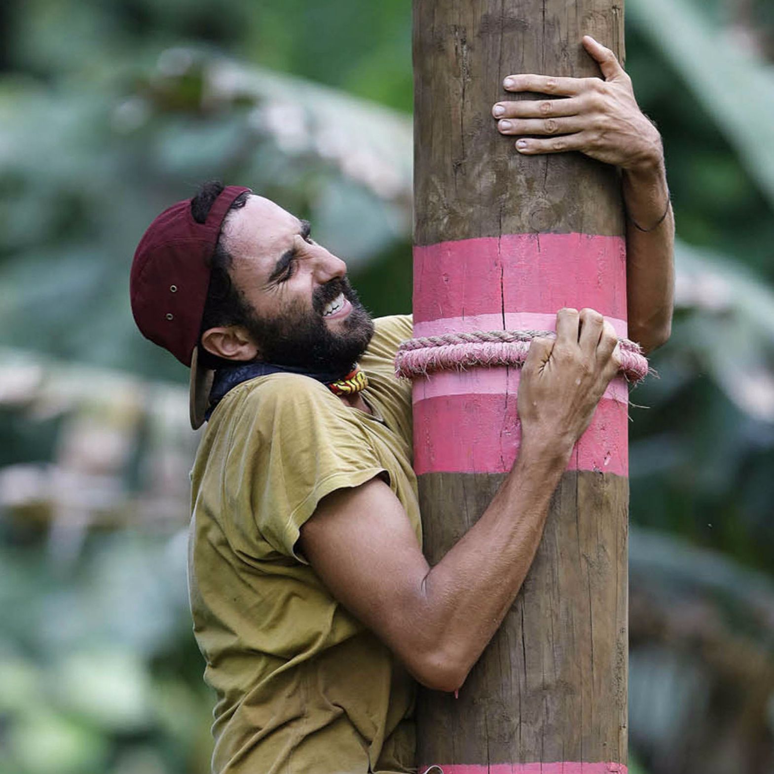 Nick Australian Survivor episode artwork