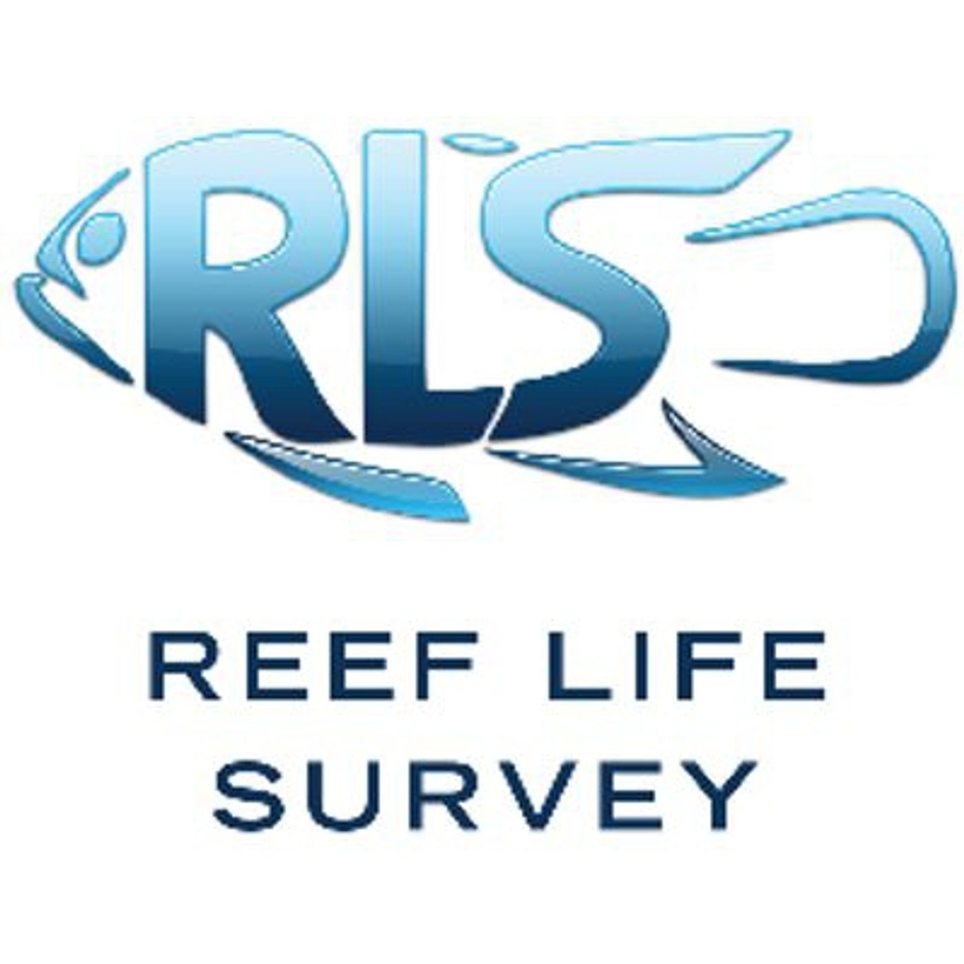 Rocky Cape marine survey results and photos to be revealed episode artwork