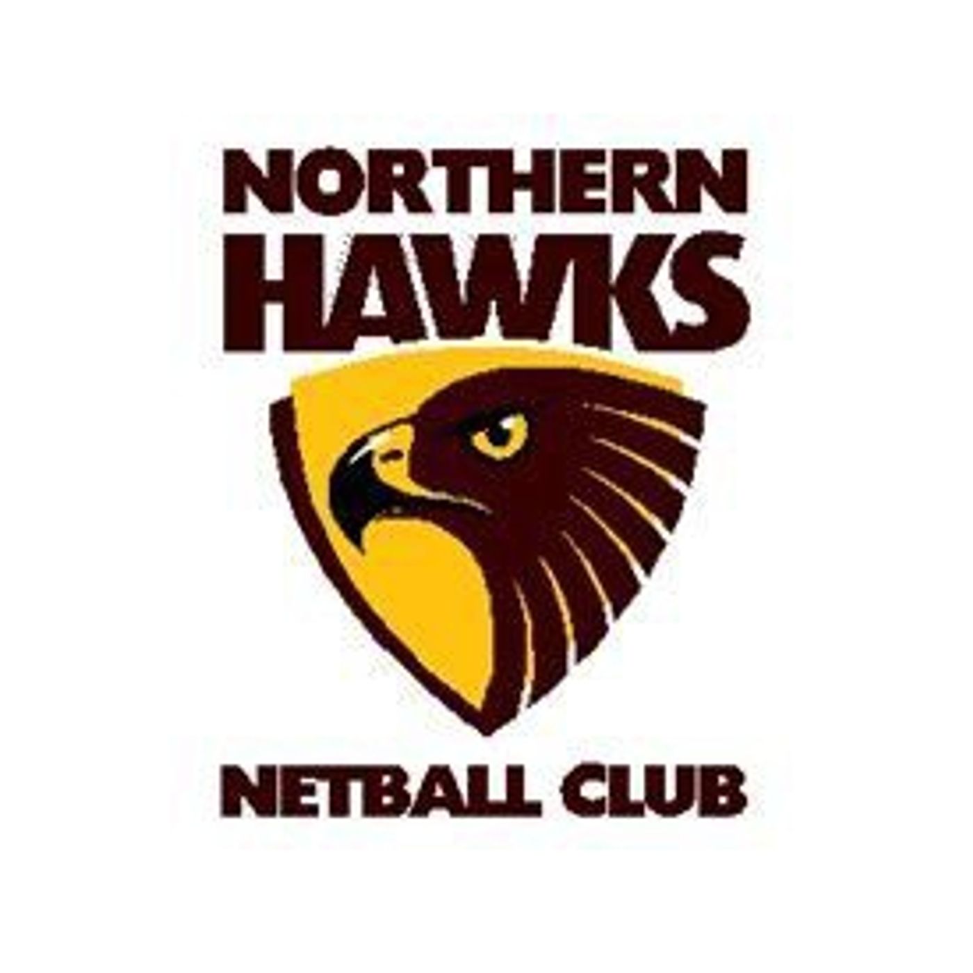 Coastal netballer wins state league best and fairest episode artwork