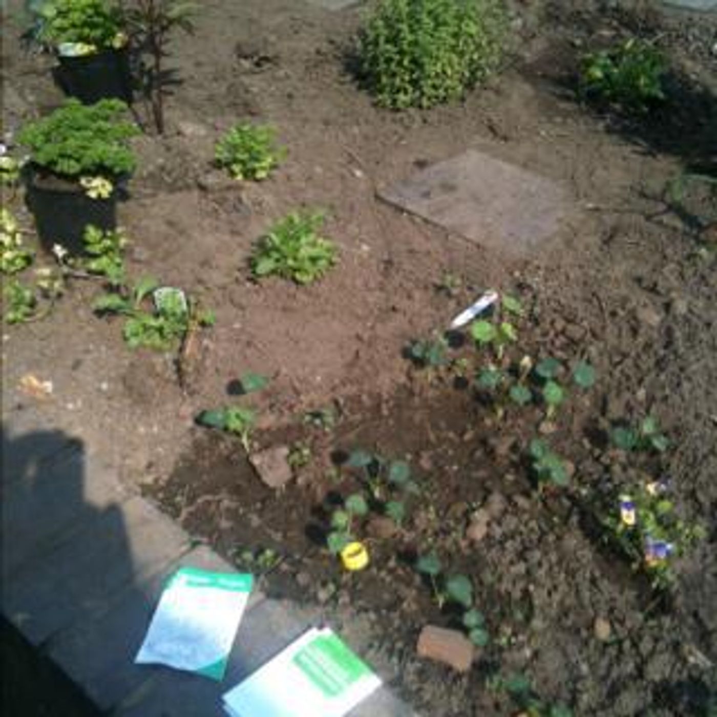 Planting up episode artwork