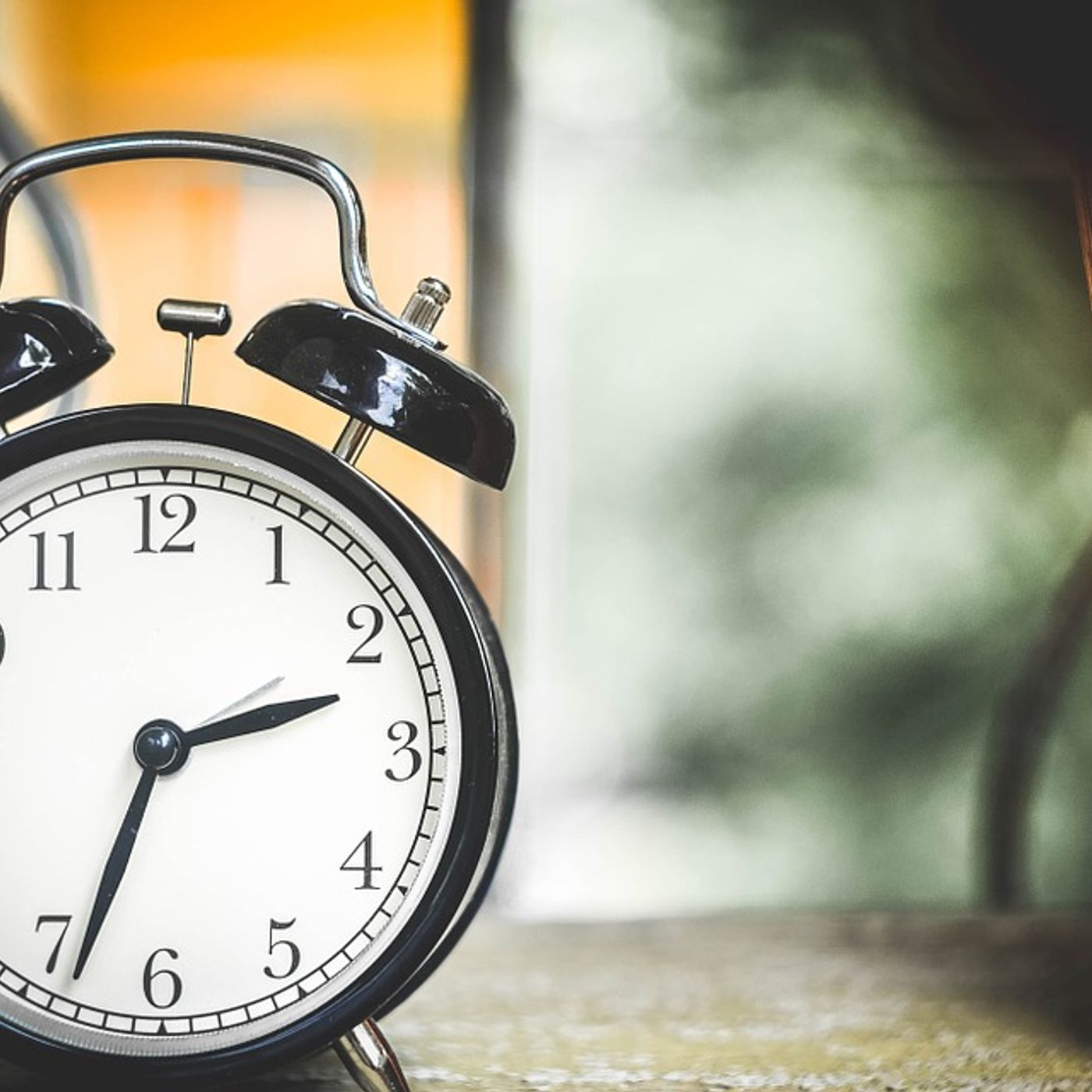 Settle Timebank