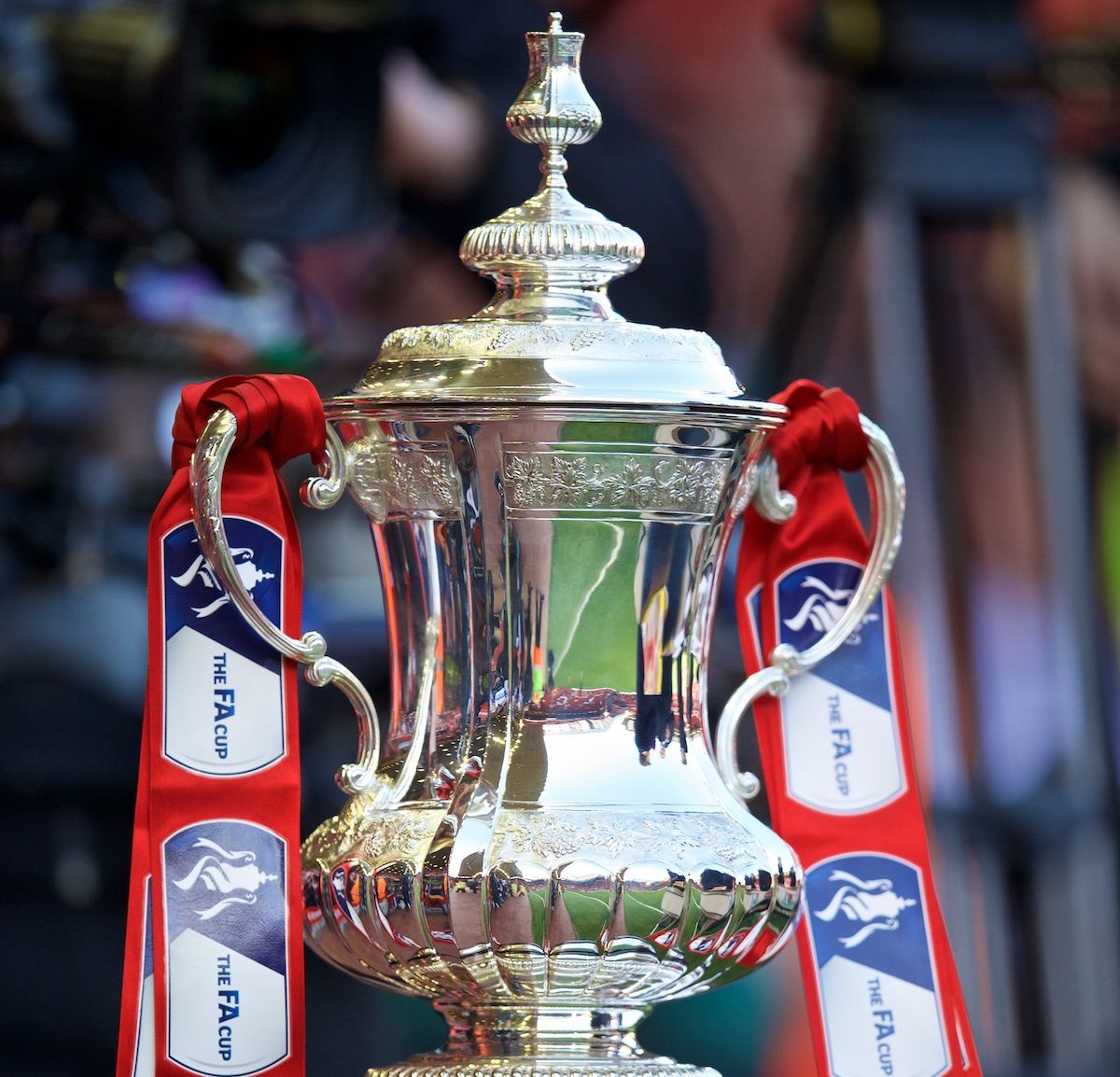 Magic Of The Cup