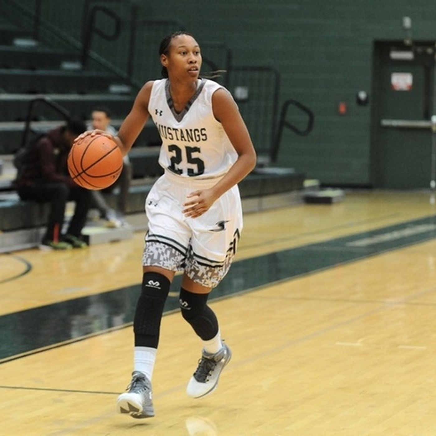 3/4/17: Stevenson at Carnegie Mellon Women's Basketball-ECAC Semi Final episode artwork