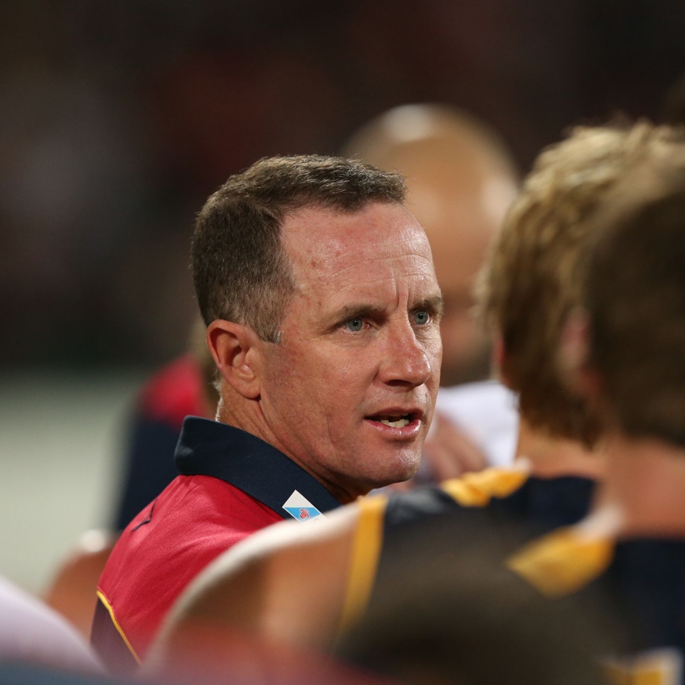 Adelaide Crows Football Club