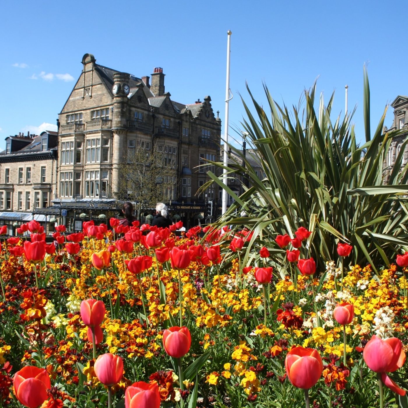Harrogate Is Blooming Great! But Can We Do Even Better?