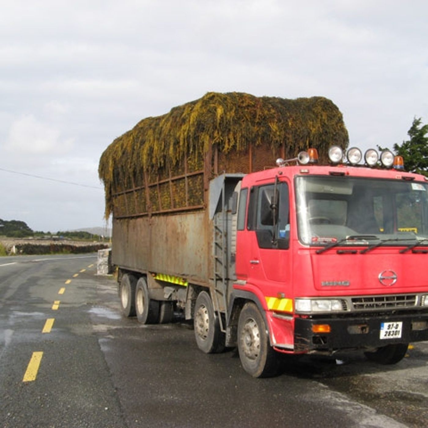From Cork With Love - by Paul O\'Mahony @omaniblog