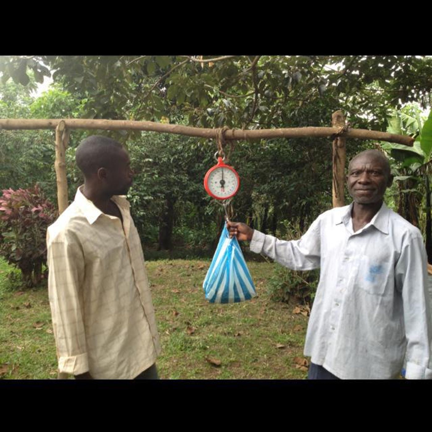 Talking to a Ndali vanilla farmer episode artwork