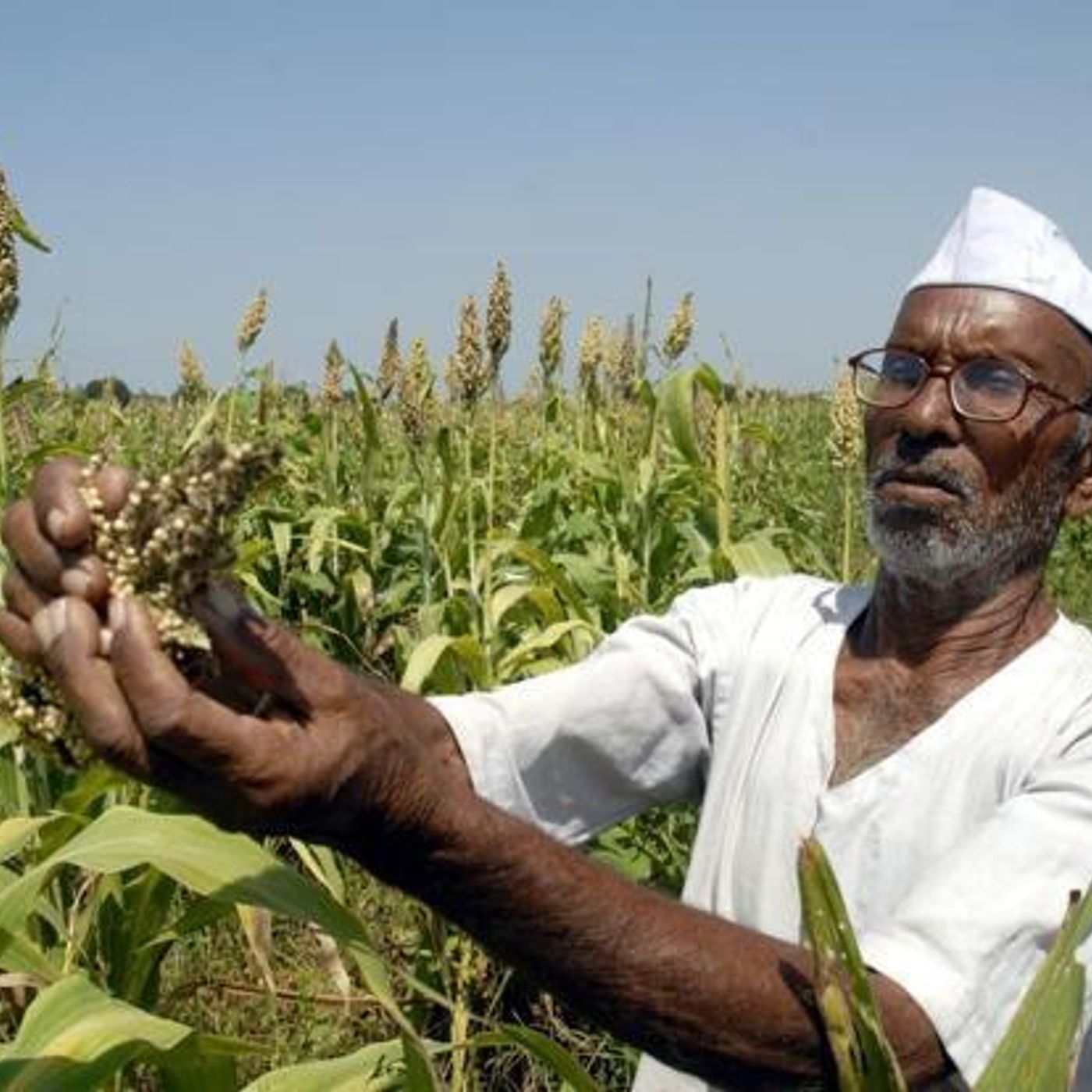 Farm loan waivers and telecom bailouts dominate the headlines this week