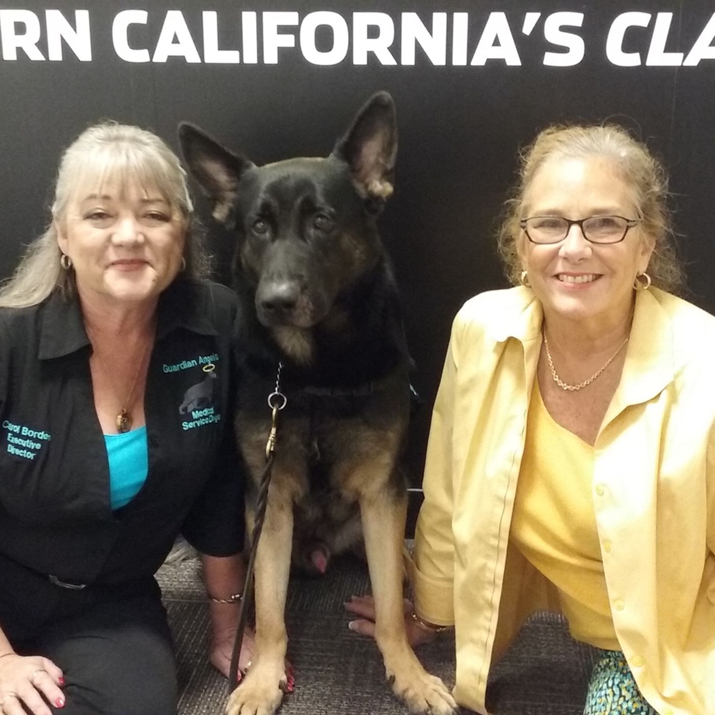July 2nd, 2017 - Guardian Angels Medical Service Dogs episode artwork