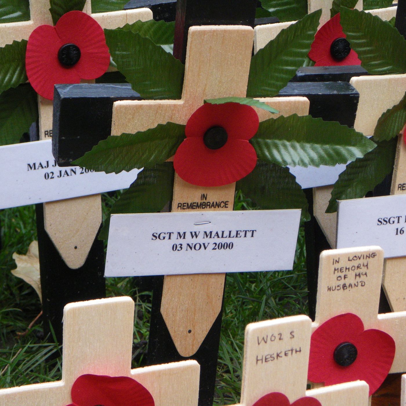 Field of Remembrance episode artwork