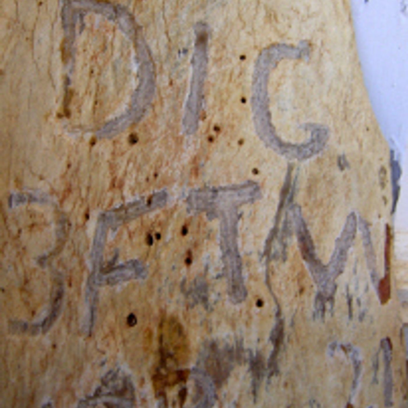 Following the tree stumps of Burke and Wills episode artwork