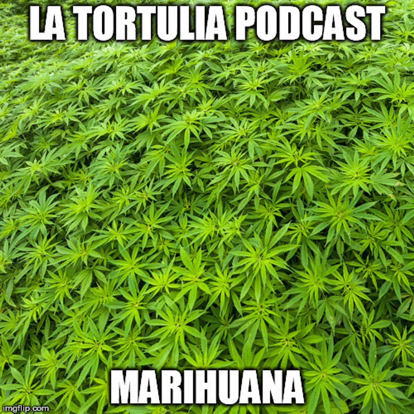 La Tortulia #106 - Marihuana