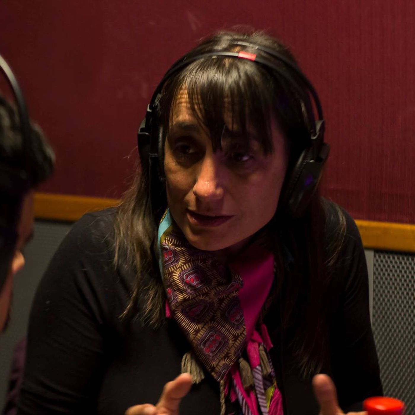 Romina Del Plá: "El Frente de Izquierda FIT ya no es un fenómeno, estamos presentes en las luchas" episode artwork
