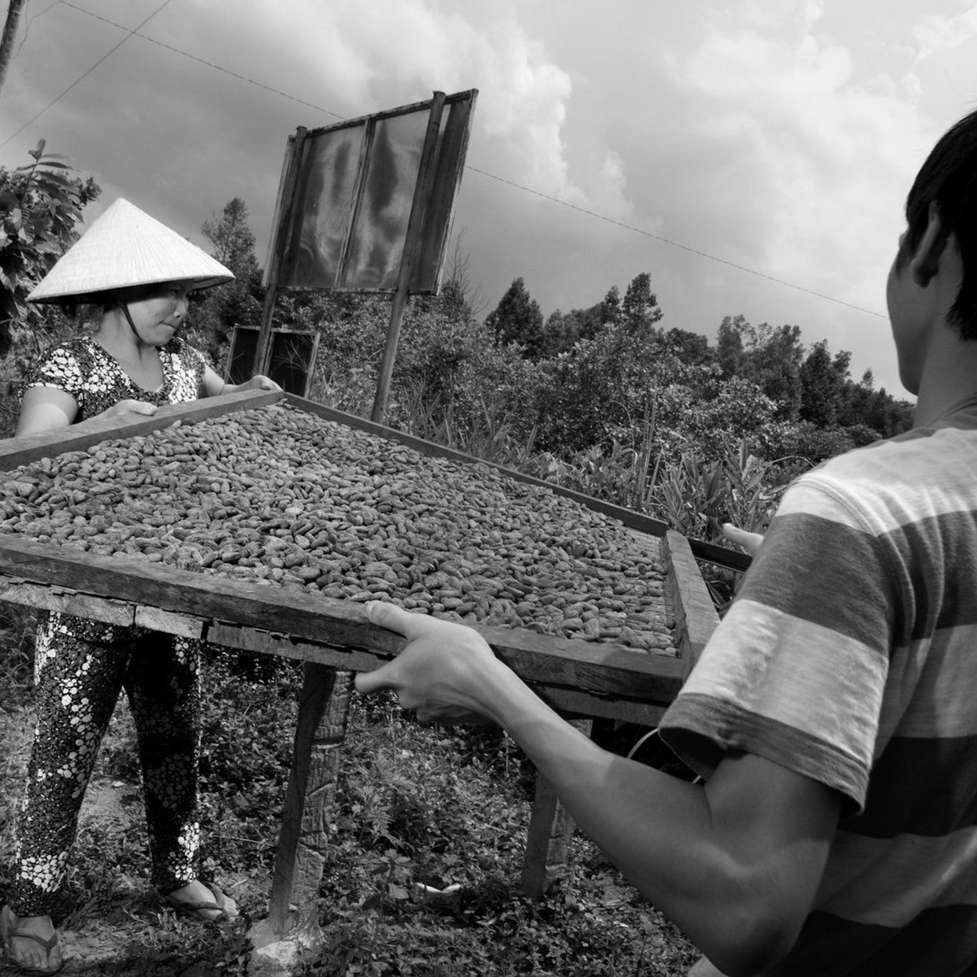 The Slow Melt: A podcast about chocolate