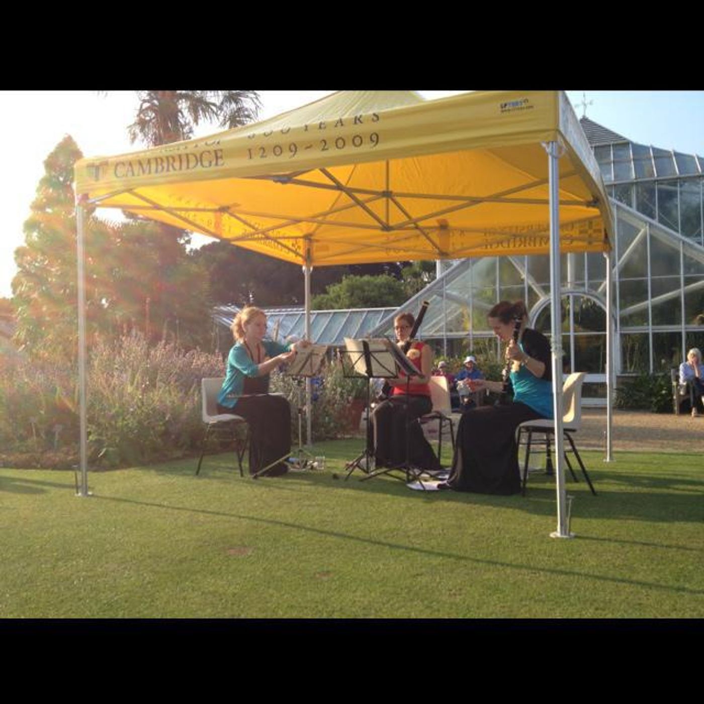 Cambridge botanical gardens concert episode artwork