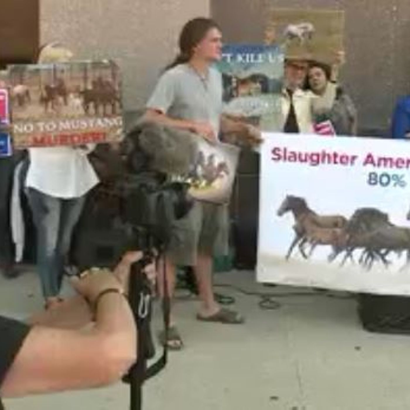 Wild horse and burro summit sees push-back from wild horse advocates episode artwork