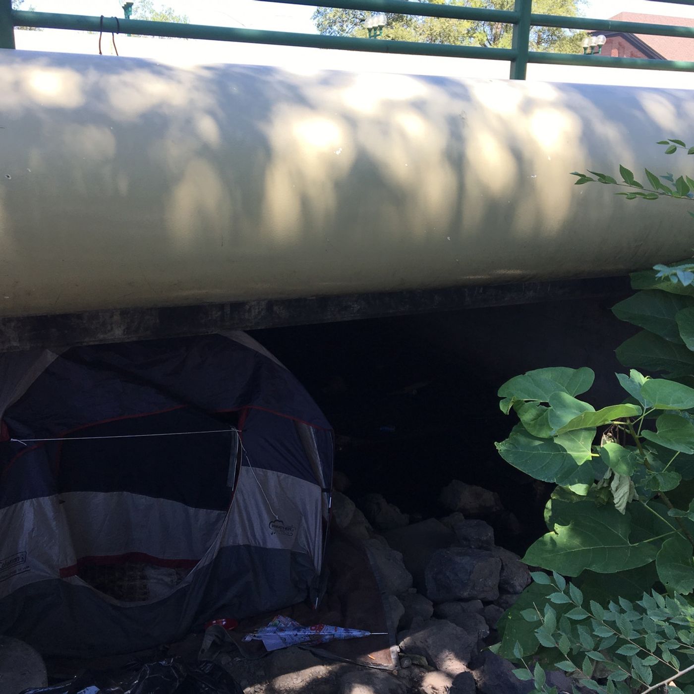 Claims of homeless population spike along Jordan River episode artwork