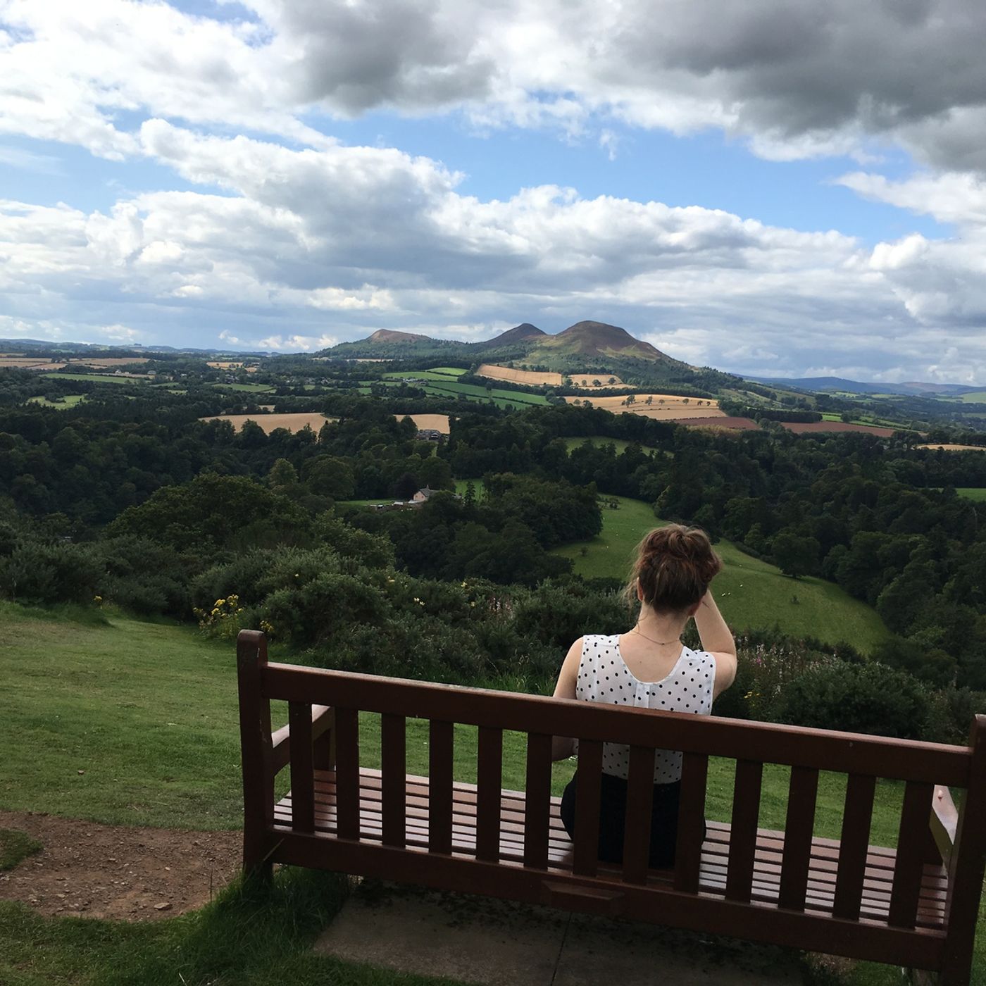 Professor Jane Bower welcomes  findings of a feasibility study for a Scottish Borders National Park episode artwork