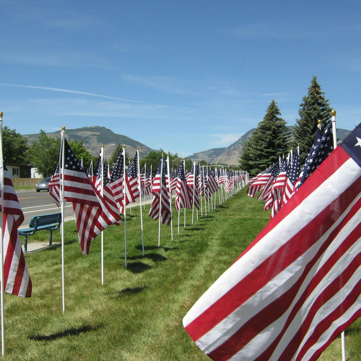 Children marvel at 16th Healing Field in Sandy episode artwork