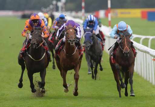 William Hill Racing / Thursday's Racing Podcast: 14th September