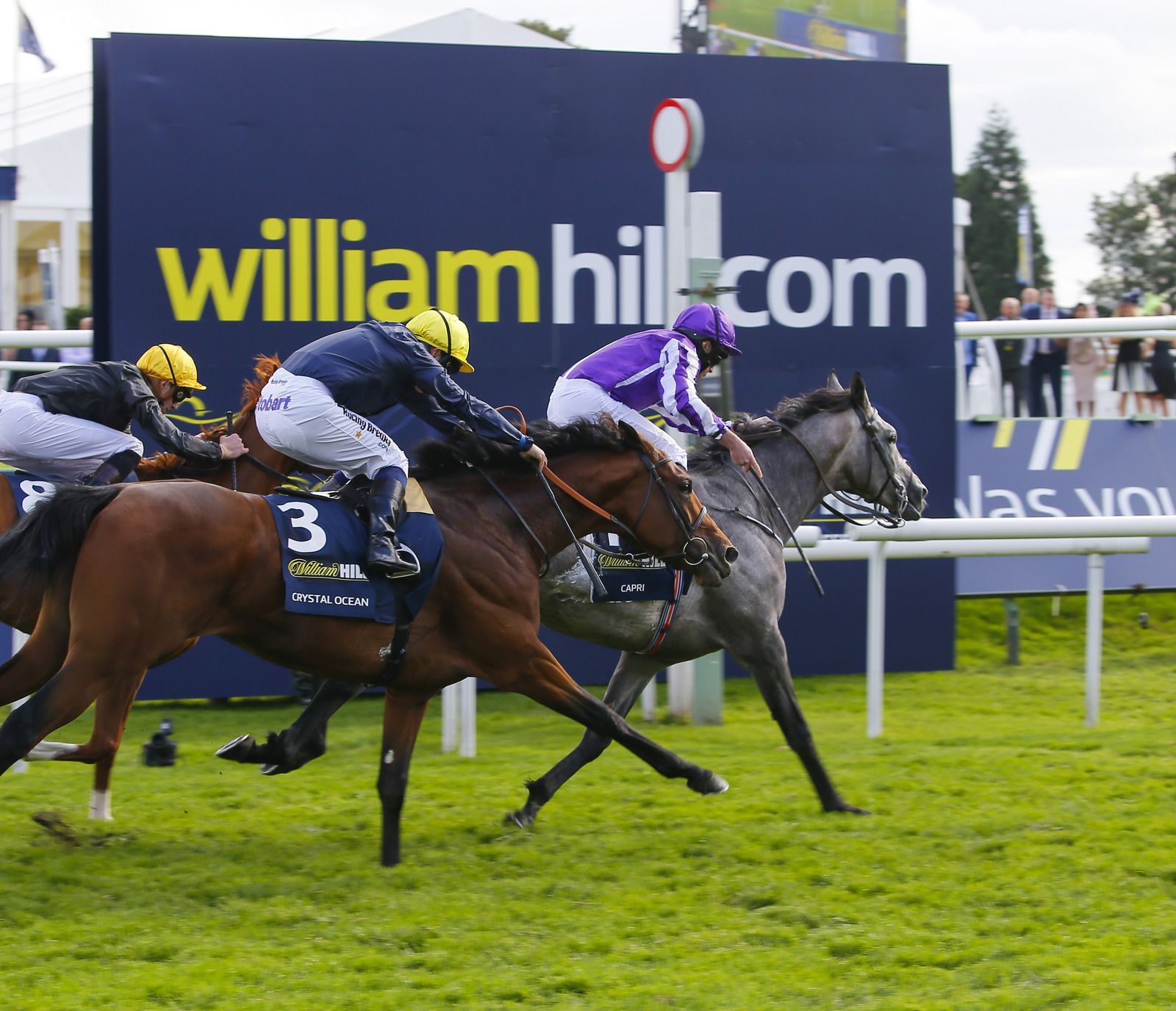 William Hill Racing / Sunday's Racing Podcast: 17th September