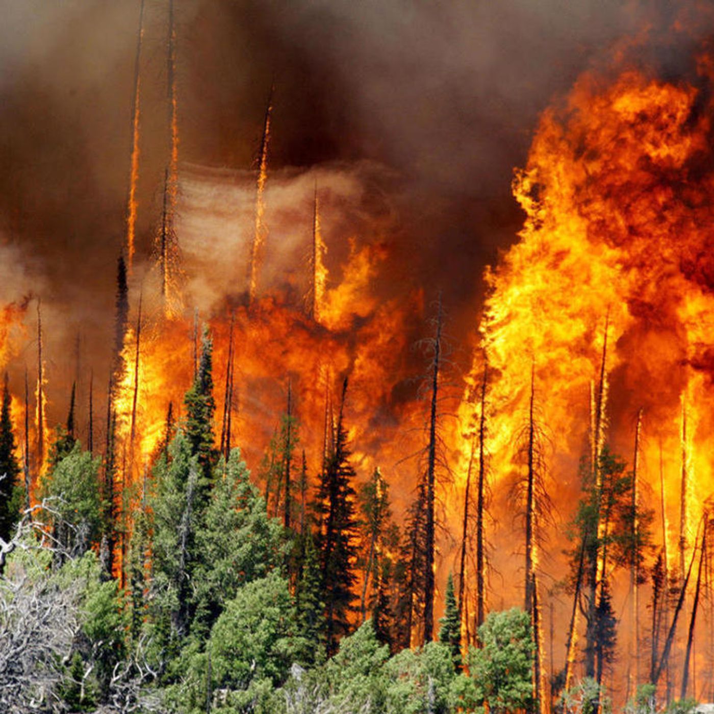 Lawmaker points blame at environmentalists for spread of Brian Head Fire episode artwork
