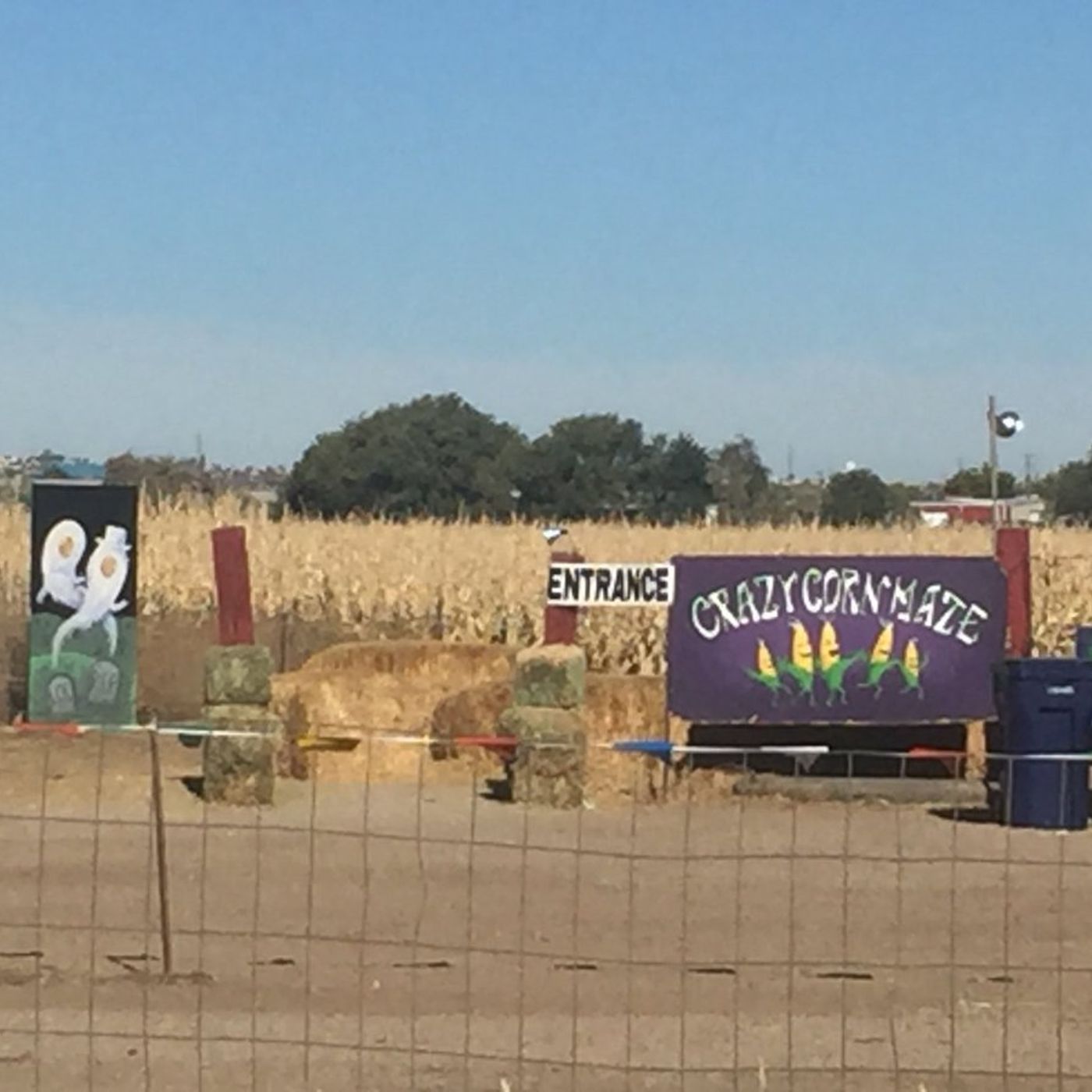 Toddler left behind at Corn Maze; not reported til morning episode artwork