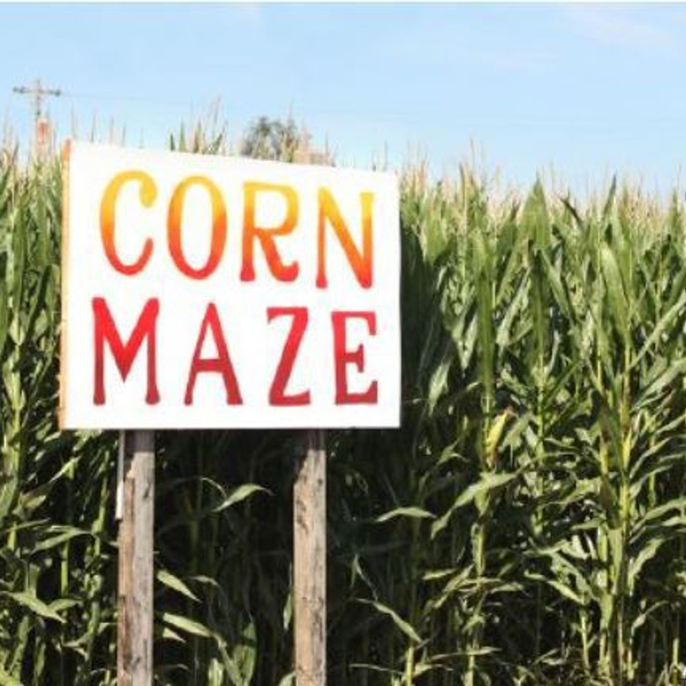 Idaho couple grows corn maze to help daughter with cancer episode artwork