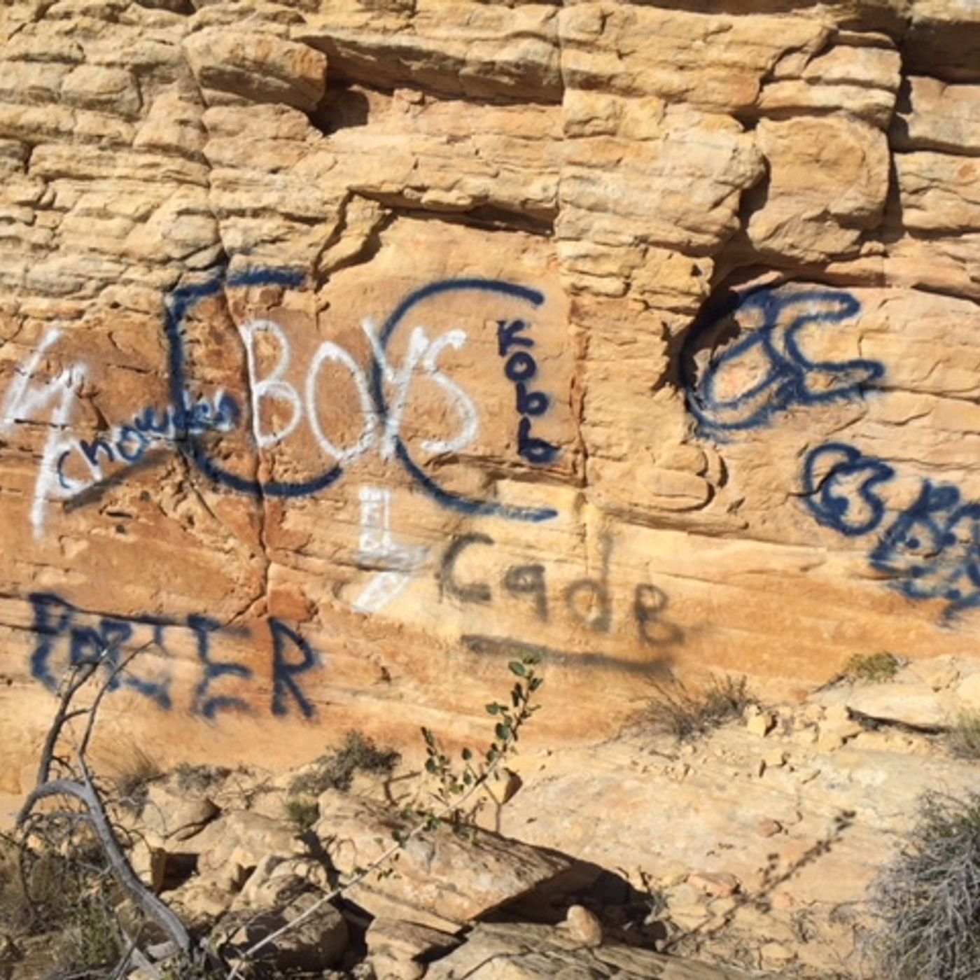 Snow Canyon State Park searching for vandals episode artwork