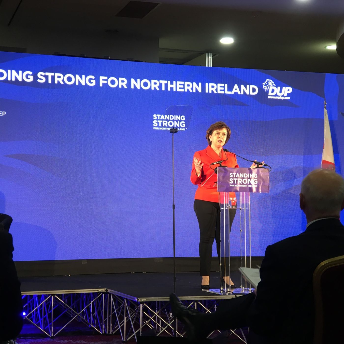 #dup17 06 Diane Dodds MEP addresses DUP conference @diannedoddsmep episode artwork