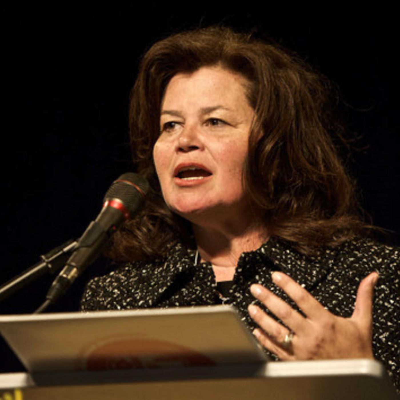 Former Utah Representative Mickelsen says she was sexually harassed on House floor episode artwork