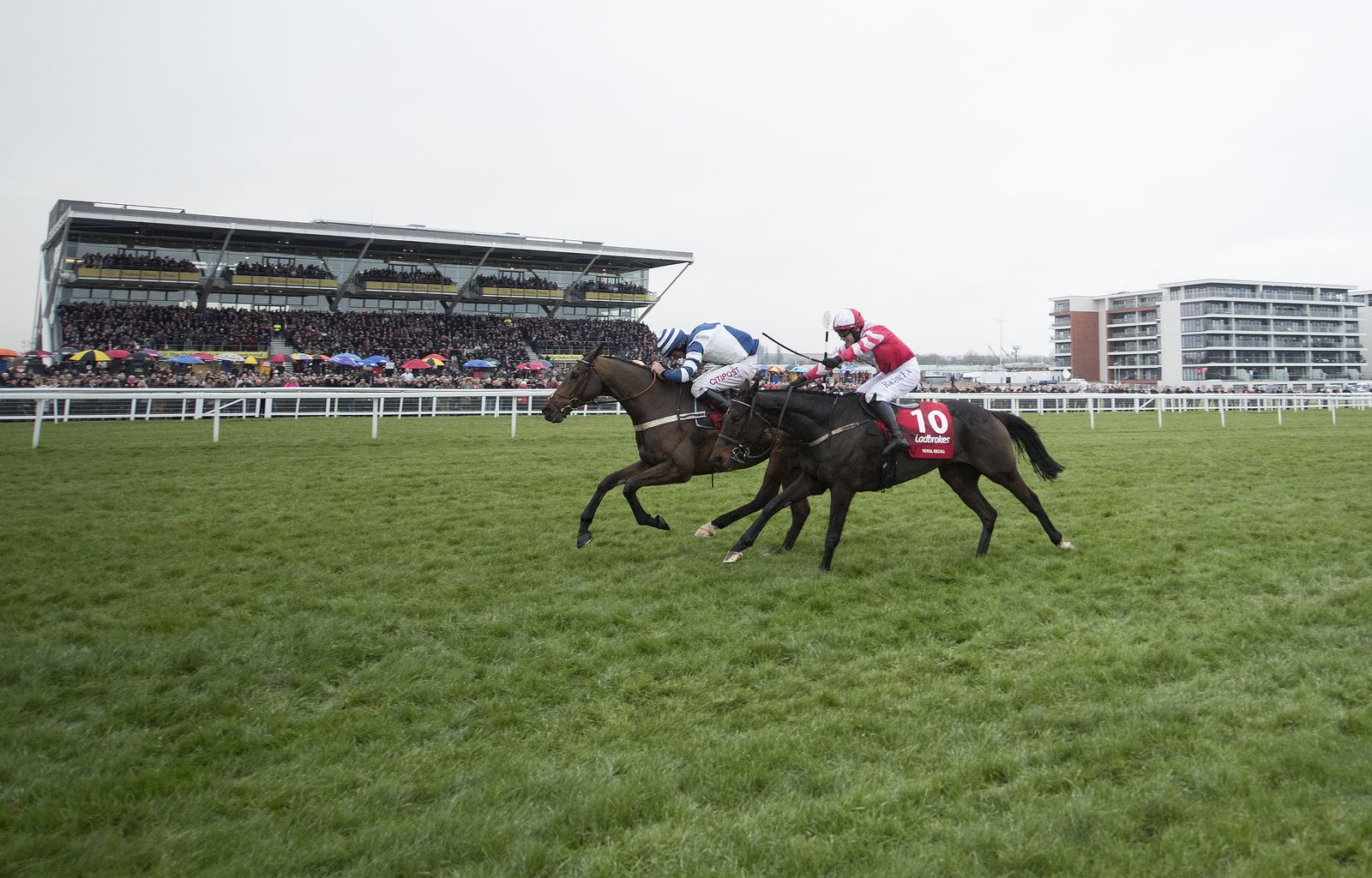 Конный спорт республика