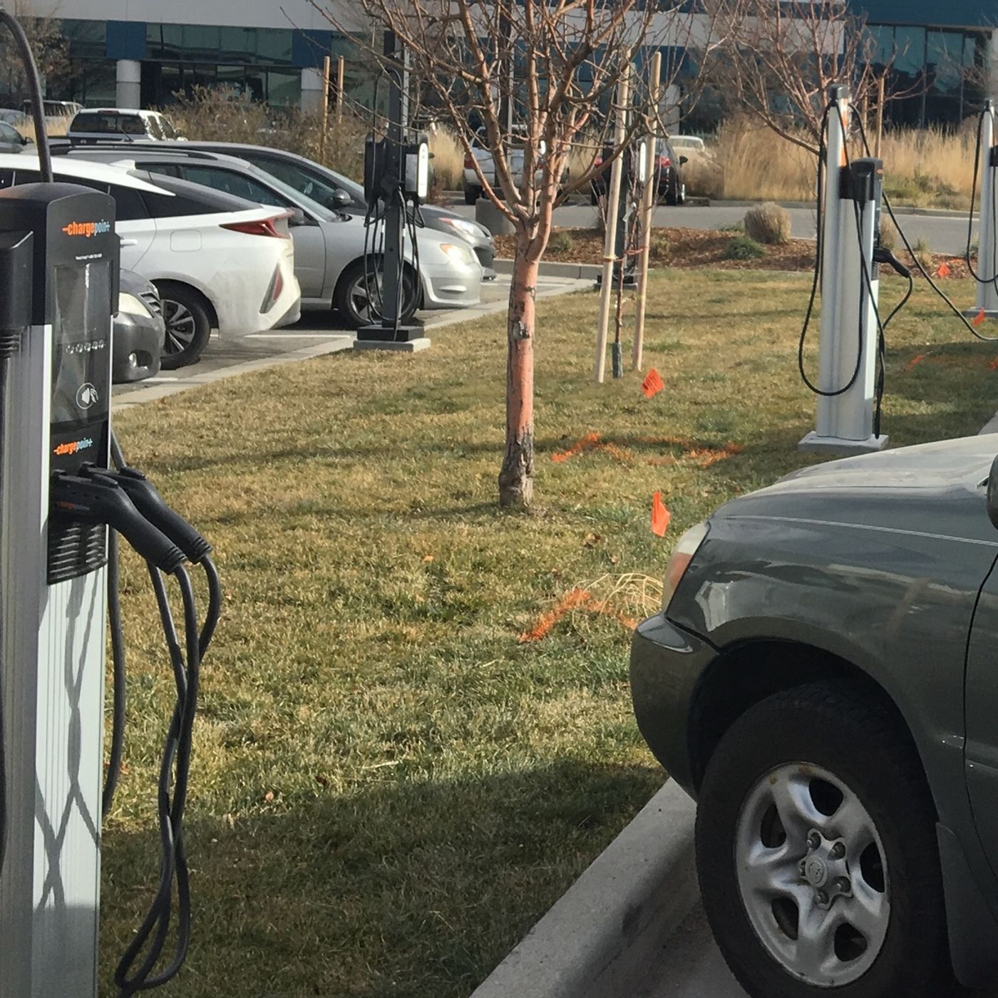 Salt Lake City-based company encouraging businesses to install electric car chargers episode artwork