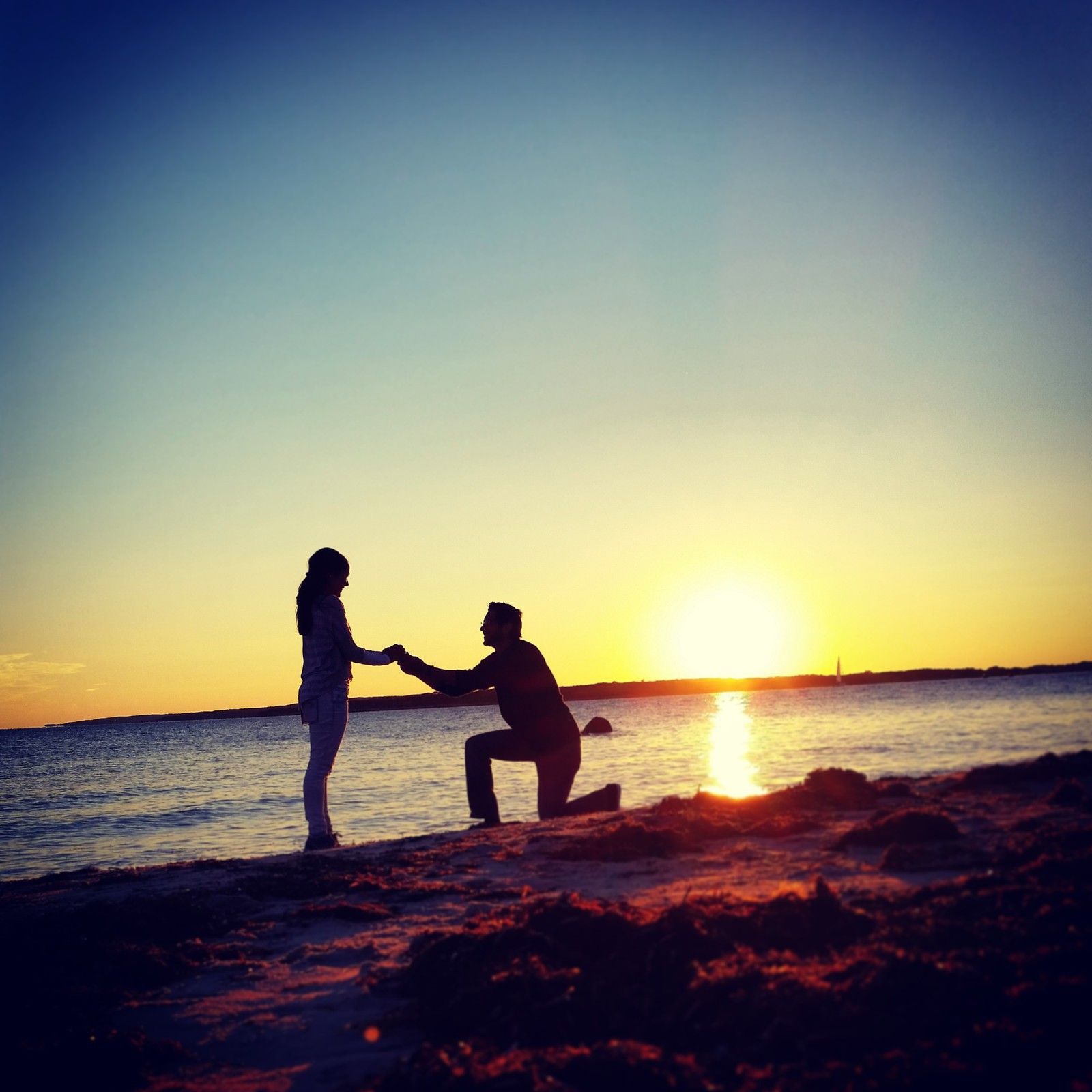 4: Funny Propose ! episode artwork