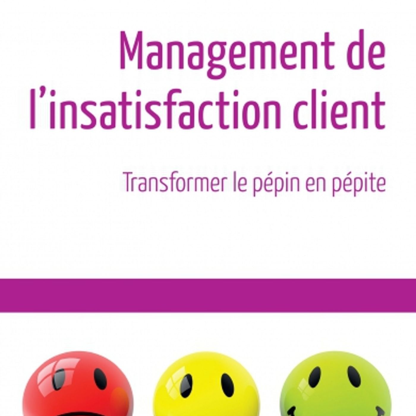 Comment gérer l'insatisfaction, et mettre en place un programme d'optimisation de l'Expérience Client ? episode artwork