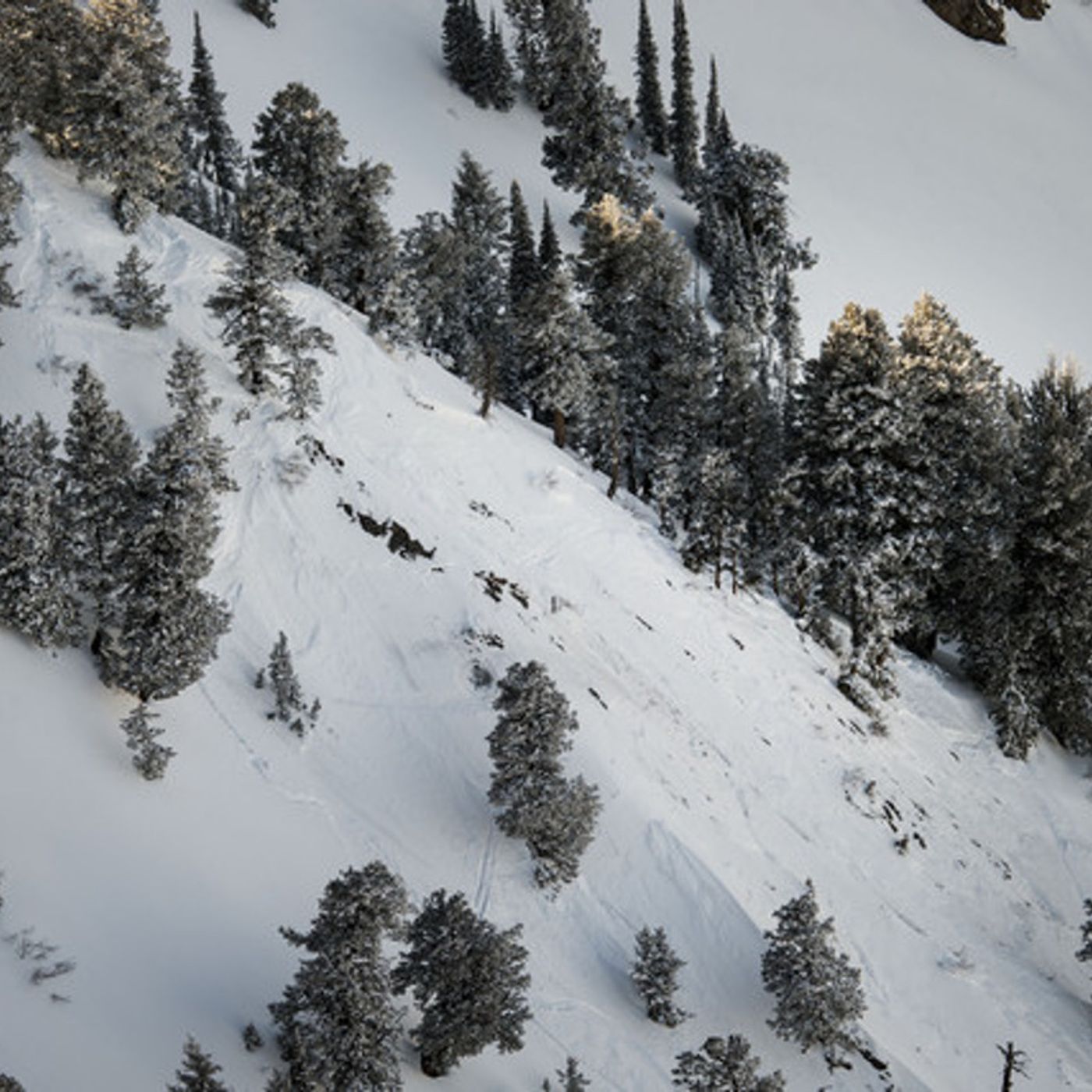 Two siblings swept up in avalanche are recovering well episode artwork