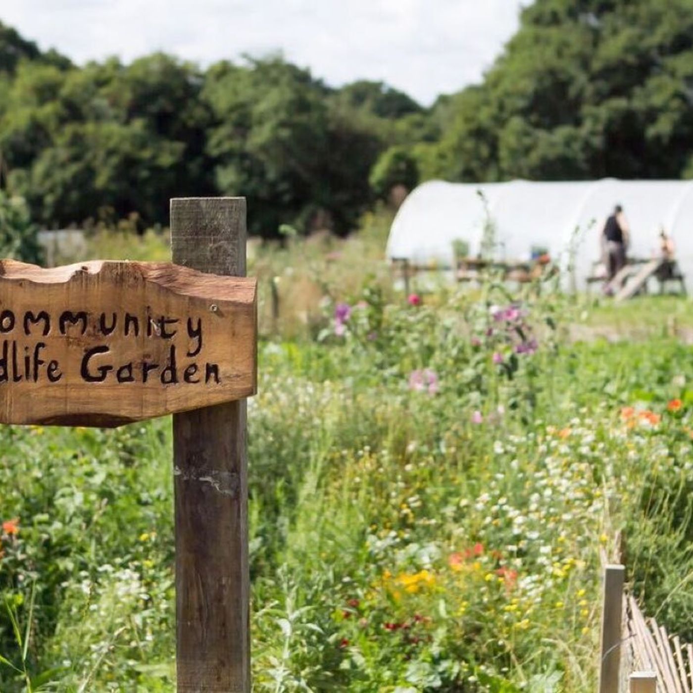 The Ethical Landlord & Investor