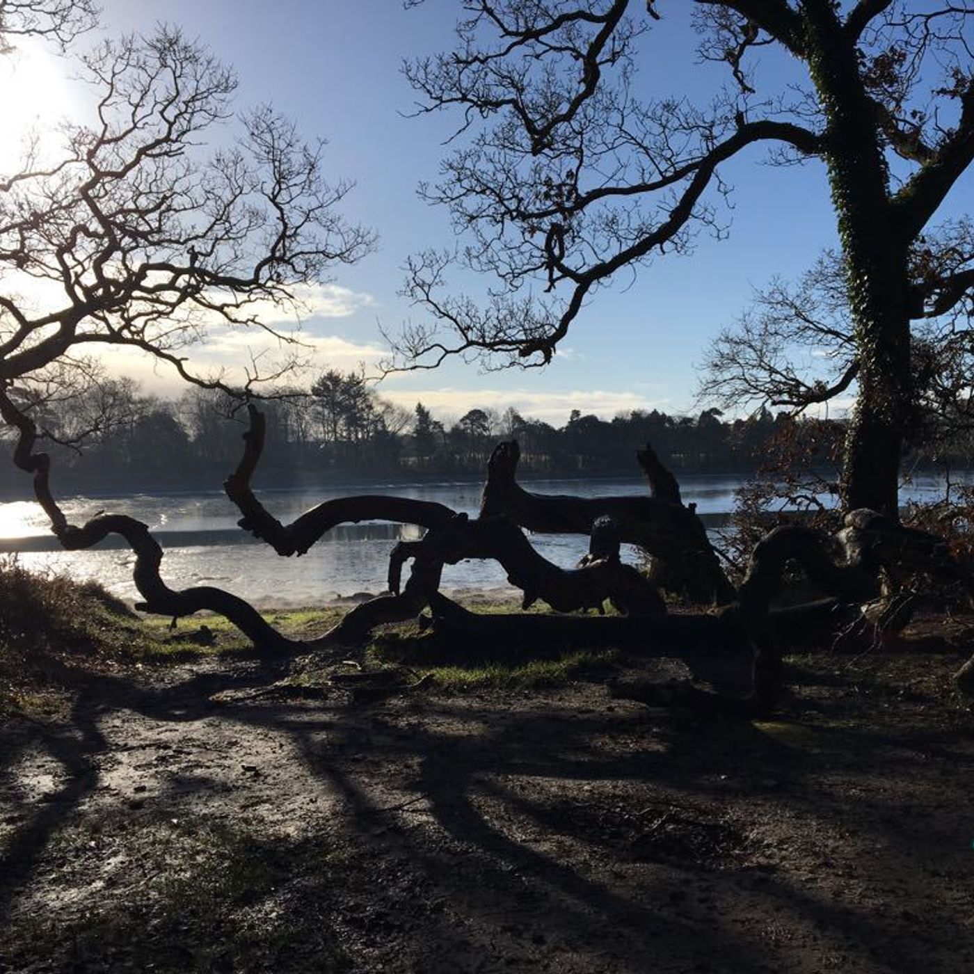 From Cork With Love - by Paul O\'Mahony @omaniblog