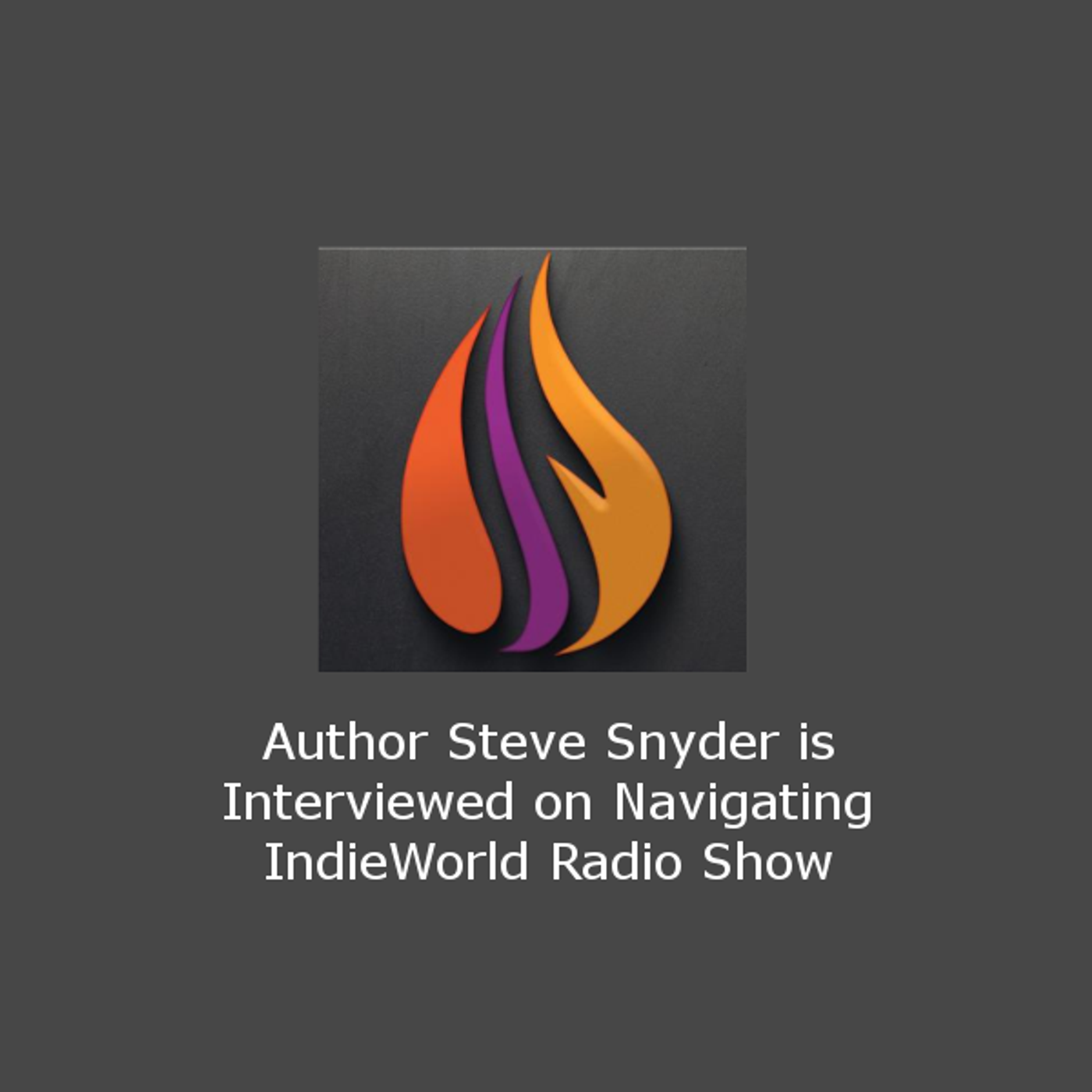 Steve Snyder, Author of SHOT DOWN: The true story of pilot Howard Snyder and the crew of the B-17 Susan Ruth
