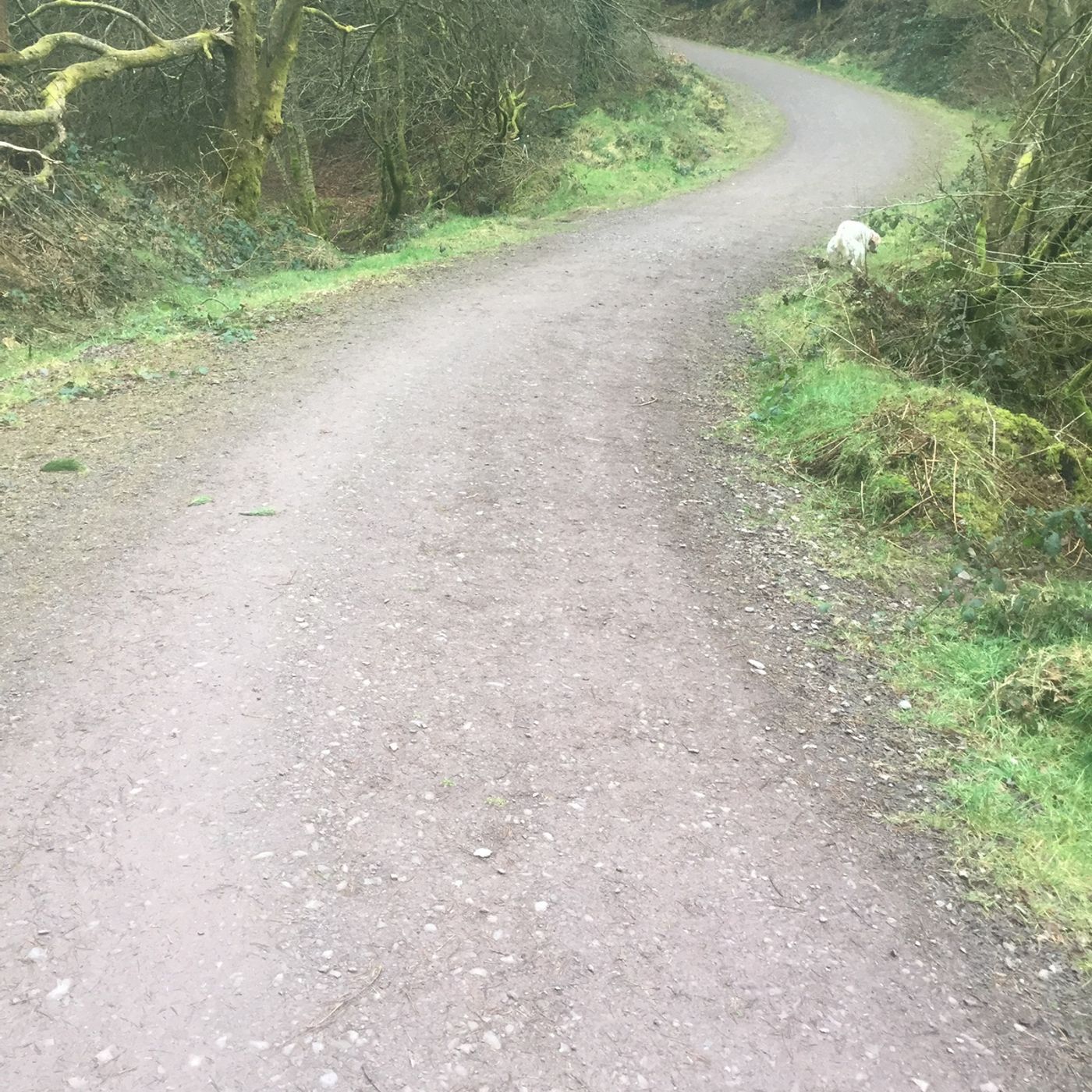 From Cork With Love - by Paul O\'Mahony @omaniblog