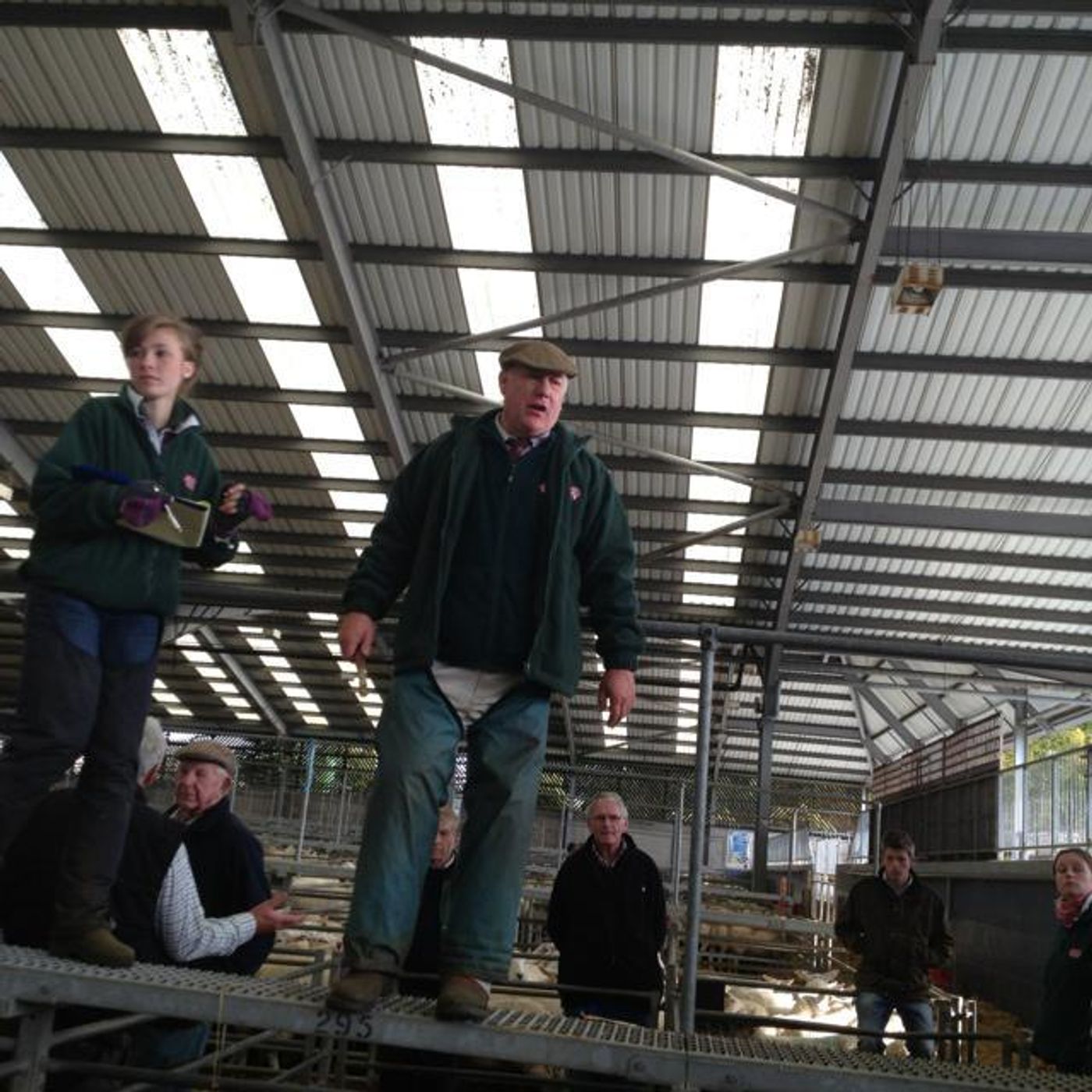 Just a run listening to the sounds of the auction at the Melton Mowbray cattle market episode artwork