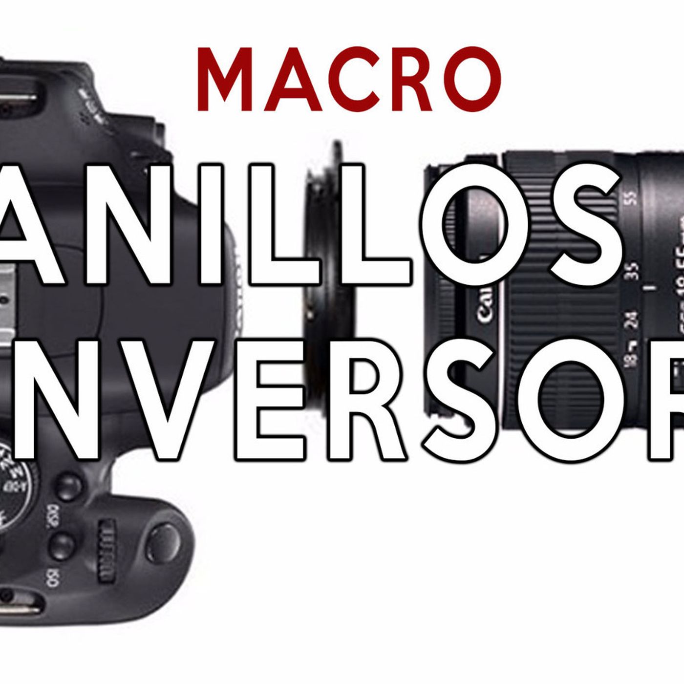 S1 Ep26: Macrofotografía. Anillos inversores.
