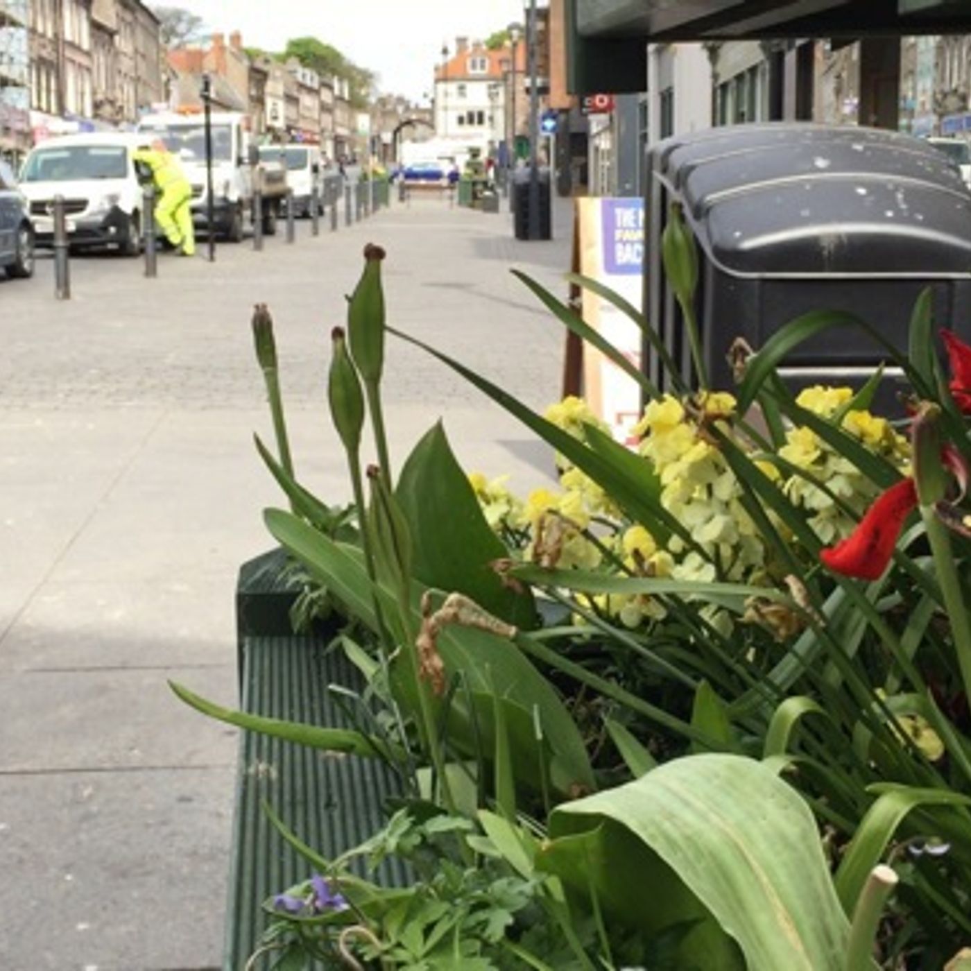 LISTEN: We've been asking people in Berwick what changes they'd like to see in their town episode artwork