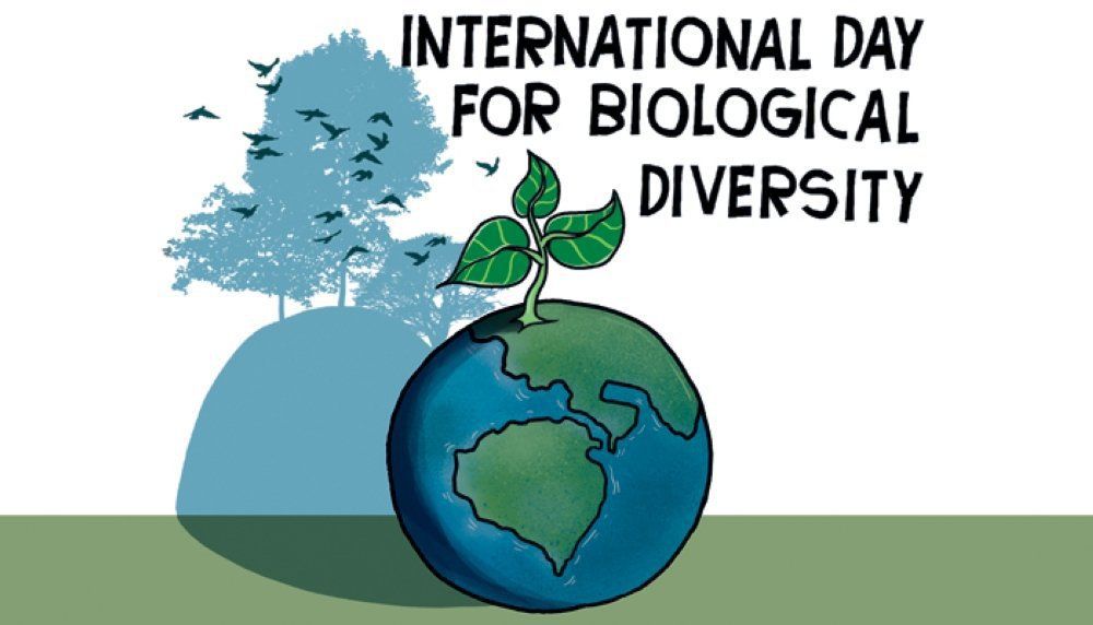 Конвенция 1992. Конвенция о биологическом разнообразии. Конвенция о биоразнообразии. Конвенция о биологическом разнообразии 1992. Конвенция о биологическом разнообразии символ.