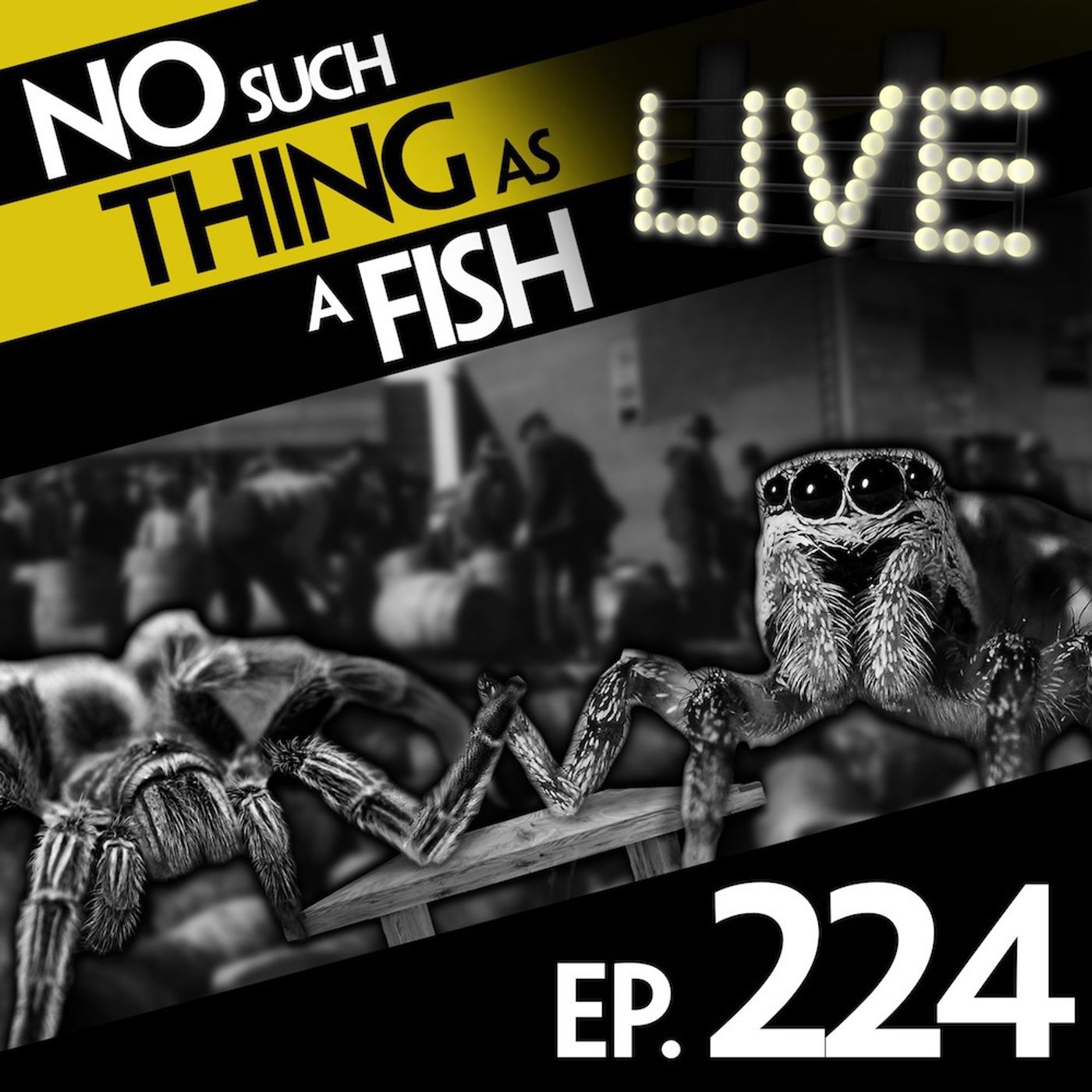 224: No Such Thing As Mixed-Species Martial Arts